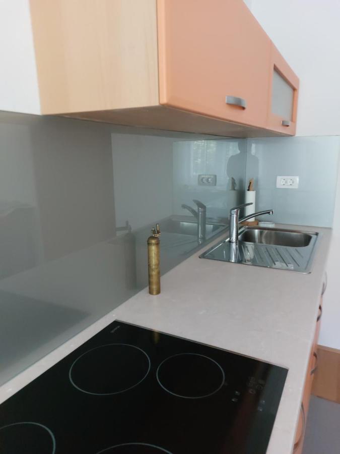 Apartma Sava-Stol Jesenice Exterior foto